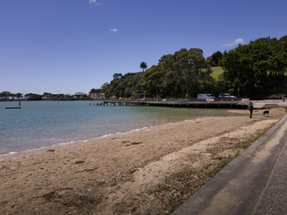 Walking the dog at the beach in summer
