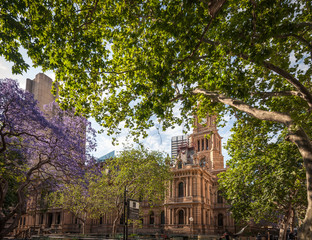 Charming Town Hall Square in spring, with fresh green leafy trees and the purple blooms of...