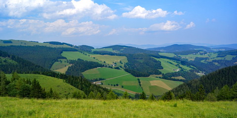SOMMERALM mit Blick auf die Brandlucken ( Oststeiermark ) 