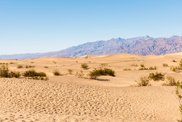 Fototapeta na wymiar Sanddünen Death Valley Nationalpark USA
