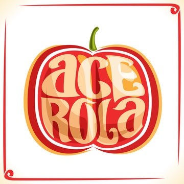 Vector logo for Acerola Cherry, label with one barbados berry for package of fresh juice or ice cream, price tag with original font for word acerola inscribed in fruit shape, sticker for vegan store.