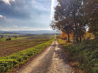 Waldweg mit einer tollen Landschaft