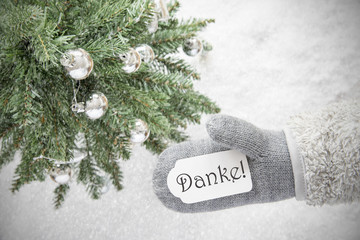 Christmas Tree, Glove, Danke Means Thank You, Snowflakes