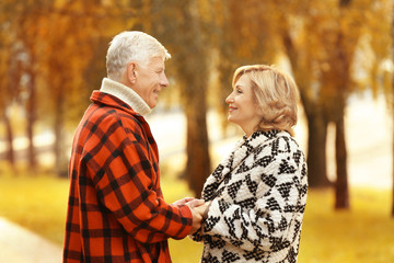 Fototapeta premium Elderly couple in park on autumn day