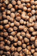 hazelnuts texture