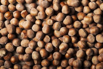 hazelnuts texture