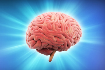 3d rendered Human Brain isolated on color background