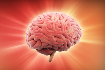 3d rendered Human Brain isolated on color background