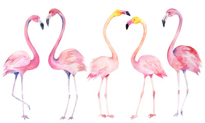Fototapeta premium Ustaw akwarela losowych flamingów. Ilustracja na białym tle wyciągnąć rękę