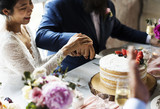 Couple Hands Cutting Wedding Cake