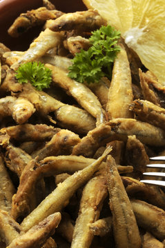 Pescado frito Frittura di pesce Peixe frito Paranza Fish fry gebratener Fisch Smażona ryba pește prăjit Poisson frit 