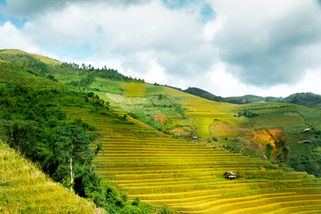 Rice fields on terraced of Mu Cang Chai, YenBai, Vietnam. Vietnam landscapes.
