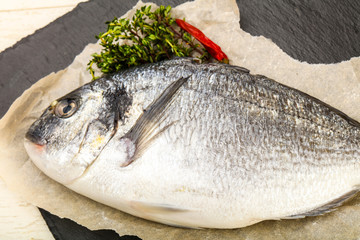 raw dorada fish