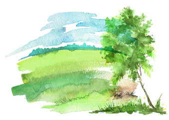 Watercolor summer landscape. Green tree on a grass, field, sky. On a white background. Summer tree on a background of abstract green spots, a splash of paint. Logo, postcard, element for design.