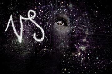 Capricorn zodiac sign