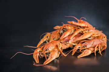 boiled crayfish  on a black background