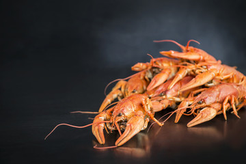 boiled crayfish  on a black background