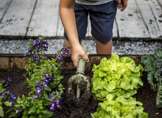 Kid is in a garden for an experience