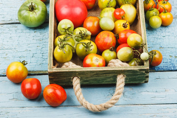Set of ripe tomatoes in the wooden tray