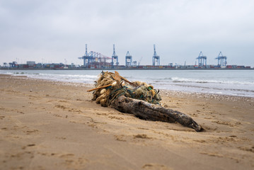 Stogi Beach at Baltic Sea. Gdansk, Poland.
