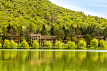 Fototapeta premium Rural lake landscape with wildlife, ducks and snow capped mountains in background with blue skies and clouds midst of fall foliage. 