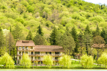 Obraz premium Rural lake landscape with wildlife, ducks and snow capped mountains in background with blue skies and clouds midst of fall foliage. 