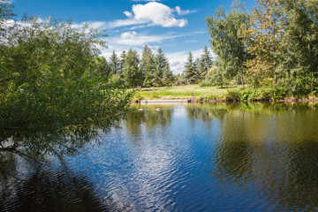Fototapeta na wymiar Serene View of Geese On A Pond