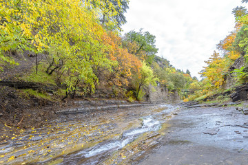 Autumn colors fall foliage with lazy river in foreground