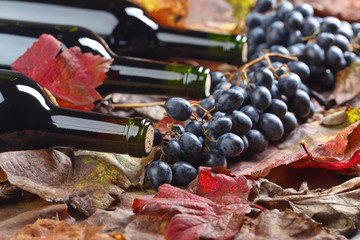Red wine and grapes .