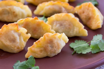 Russian fried meat dumplings