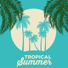 Fototapeta premium summer tropical background