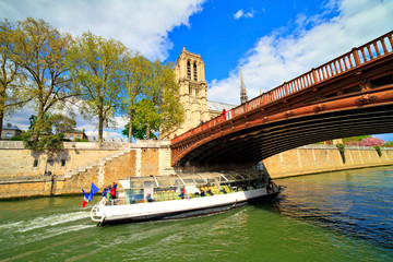 Naklejka premium Paris, cathédrale Notre-Dame au printemps