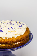 Carrot cake isolated. white background, blue plate.  
