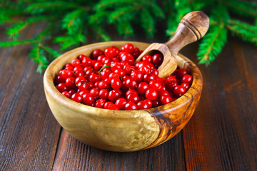 Cowberry, foxberry, cranberry, lingonberry in a wooden bowl with a scoop on a brown wooden table. Surrounded by fir branches.
