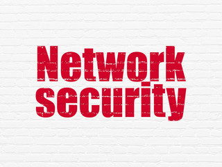 Safety concept: Painted red text Network Security on White Brick wall background