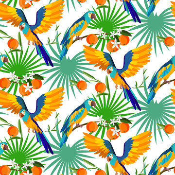 Tropical ara parrot with oranges fruits seamless pattern.