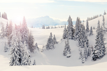 Traumhafte Winterlandschaft
