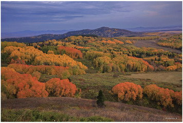  Autumn landscape at sunset. Trees with a red and yellow foliage. Mountains on the horizon.