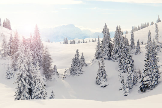 Traumhafte Winterlandschaft