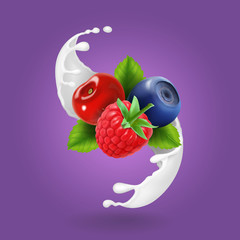 Ripe forest berries and milky splash or yogurt. Realistic design icon vector