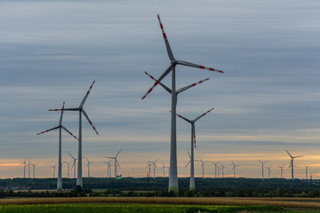 Wind power in lower austrian countryside at sunrise, Austria, Europe