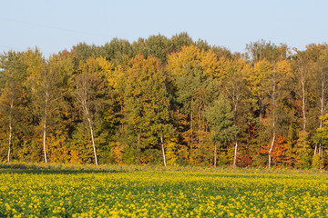 bavarian landscape in fall