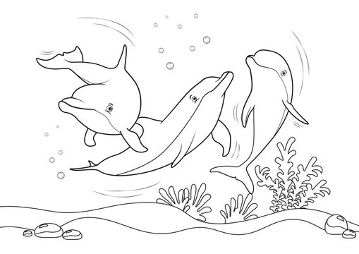 Dolphins on the sea, line illustration for coloring books