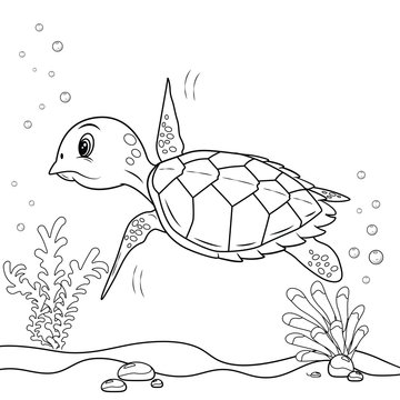 Turtle on the sea, illustration for coloring book