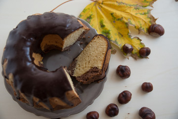 Schokoladen Gugelhupf