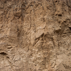 Close-up of a loamy ravine wall as an environmental texture background