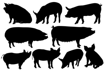 pig pork hog silhouette sets