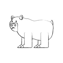 cartoon bear icon over white background vector illustration