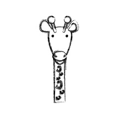 giraffe icon over white background vector illustration