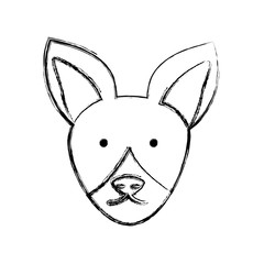 cartoon fox icon over white background vector illustration